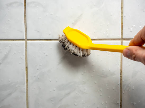Best Post-Flood Mold Remediation in Seven Hills, OH